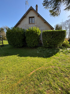 Photo de galerie - Taille de Laurier 