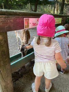 Photo de galerie - Baby sitting