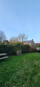 Photo de galerie - AVANT 
taille de haie, tonte.