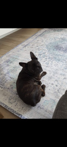 Photo de galerie - Garde de mon petit boubou ✨️??