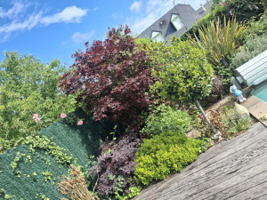 Photo de galerie - Avant 