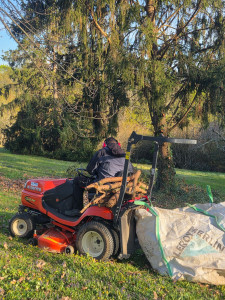 Photo de galerie - Debarrassage de bois suite élagage (le tracteur tondeuse est au client !)