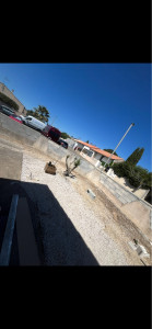 Photo de galerie - Montage d’agglos+ arrase 