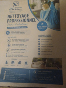 Photo de galerie - Nettoyage professionnel et au alentour 