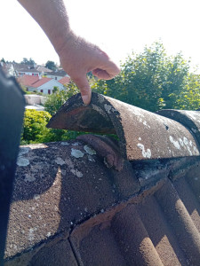 Photo de galerie - Couverture - Toiture