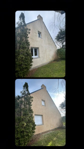 Photo de galerie - Traitement