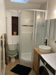 Photo de galerie - Rénovation d’une petite salle de bain, changement cuvette, petit coup de peinture dans la niche , gros nettoyage , changement du meuble vasque et de la plomberie et re vitrification du parquet