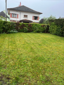 Photo de galerie - Tonte d’un gazon avec débroussaillage 