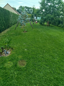 Photo de galerie - Tontes réalisées j'ai un client 