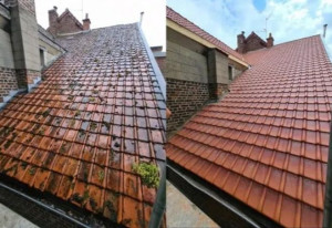 Photo de galerie - Couverture - Toiture