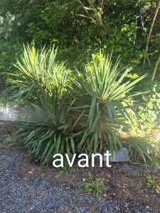 Photo de galerie - Jardinier