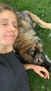 Photo de galerie - Héris 
Une berger allemand pleine d'amour.