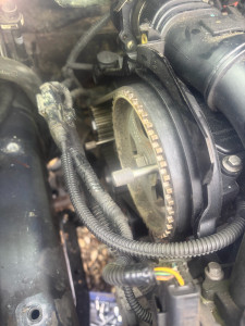 Photo de galerie - Distribution 