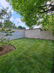 Photo de galerie - GAZON EN ROULEAU