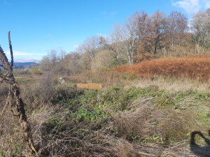 Photo de galerie - Rafraîchissement 