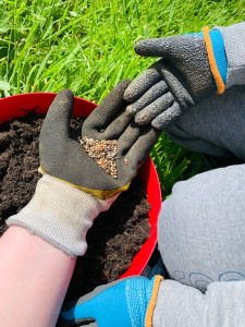 Photo de galerie - Jardinier