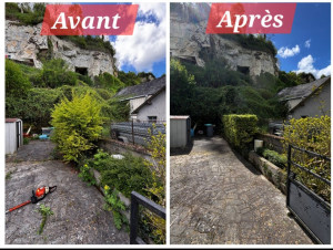 Photo de galerie - Remise en forme d'une haie