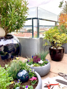 Photo de galerie - Aménagement terrasse en pot 