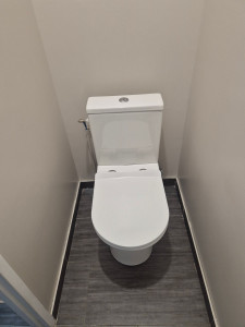 Photo de galerie - Remplacement d'un nouveau wc