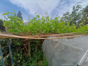 Photo de galerie - Paysagiste - Aménagement du jardin