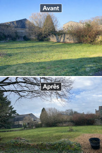 Photo de galerie - Tonte pelouse. 