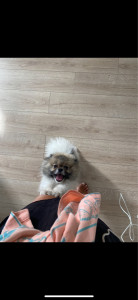 Photo de galerie - Coucou ^^