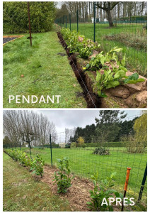 Photo de galerie - Paysagiste - Aménagement du jardin