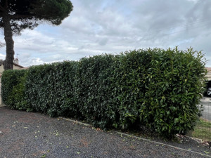 Photo de galerie - APRÈS 