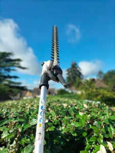 Photo de galerie - Paysagiste - Aménagement du jardin