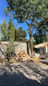 Photo de galerie - Abattage par démontage d'un chêne mort afin de sécuriser la maison du voisin, intervention rapide. Débitage en billons de 30 cm afin que le client puisse fendre et rentrer le bois aisément dans son poil. 