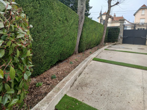 Photo de galerie - Taille de haies et d'arbustes