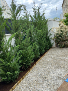 Photo de galerie - Paysagiste - Aménagement du jardin