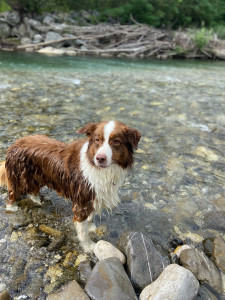 Photo de galerie - Quelques jours avec Romy !