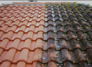 Photo de galerie - Couverture - Toiture