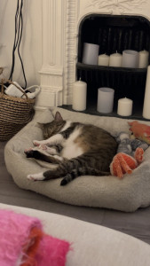 Photo de galerie - Rio