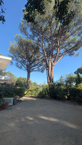 Photo de galerie - Paysagiste - Aménagement du jardin