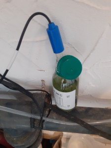 Photo de galerie - Entretien piscine