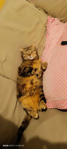 Photo de galerie - En confiance ?