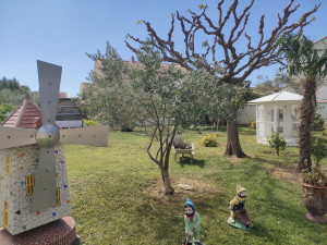 Photo de galerie - Entretien jardin élagage mûrier platane 