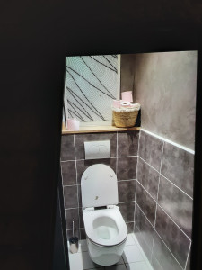 Photo de galerie - Après travaux pose de toilette carellage peinture. 