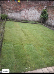 Photo de galerie - Paysagiste - Aménagement du jardin