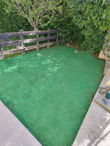 Photo de galerie - Paysagiste - Aménagement du jardin