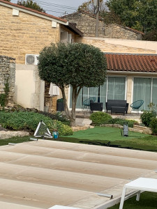 Photo de galerie - Olivier 