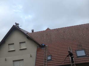 Photo de galerie - Nettoyage a base pression avec un traitement fongicide et par la suite traitement hydrofuge incolore 