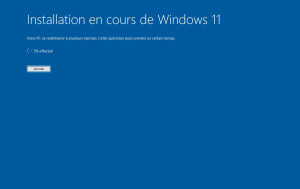 Photo de galerie - Installation windows