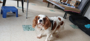 Photo de galerie - Garde