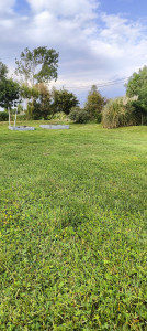 Photo de galerie - Débroussaillage / Tonte de pelouse