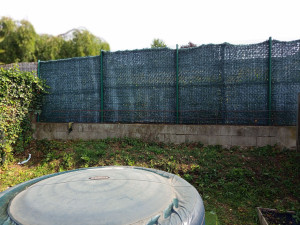Photo de galerie - Suppression de ronce grimpant le long de la cloture