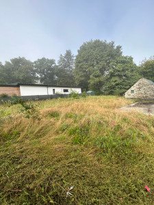 Photo de galerie - Tonte de pelouse - Débroussaillage