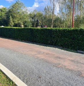 Photo de galerie - Taillage d une haie